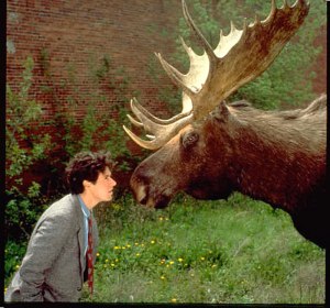 Northern Exposure - Joel and moose